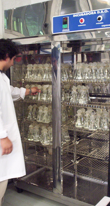 Laboratorio
